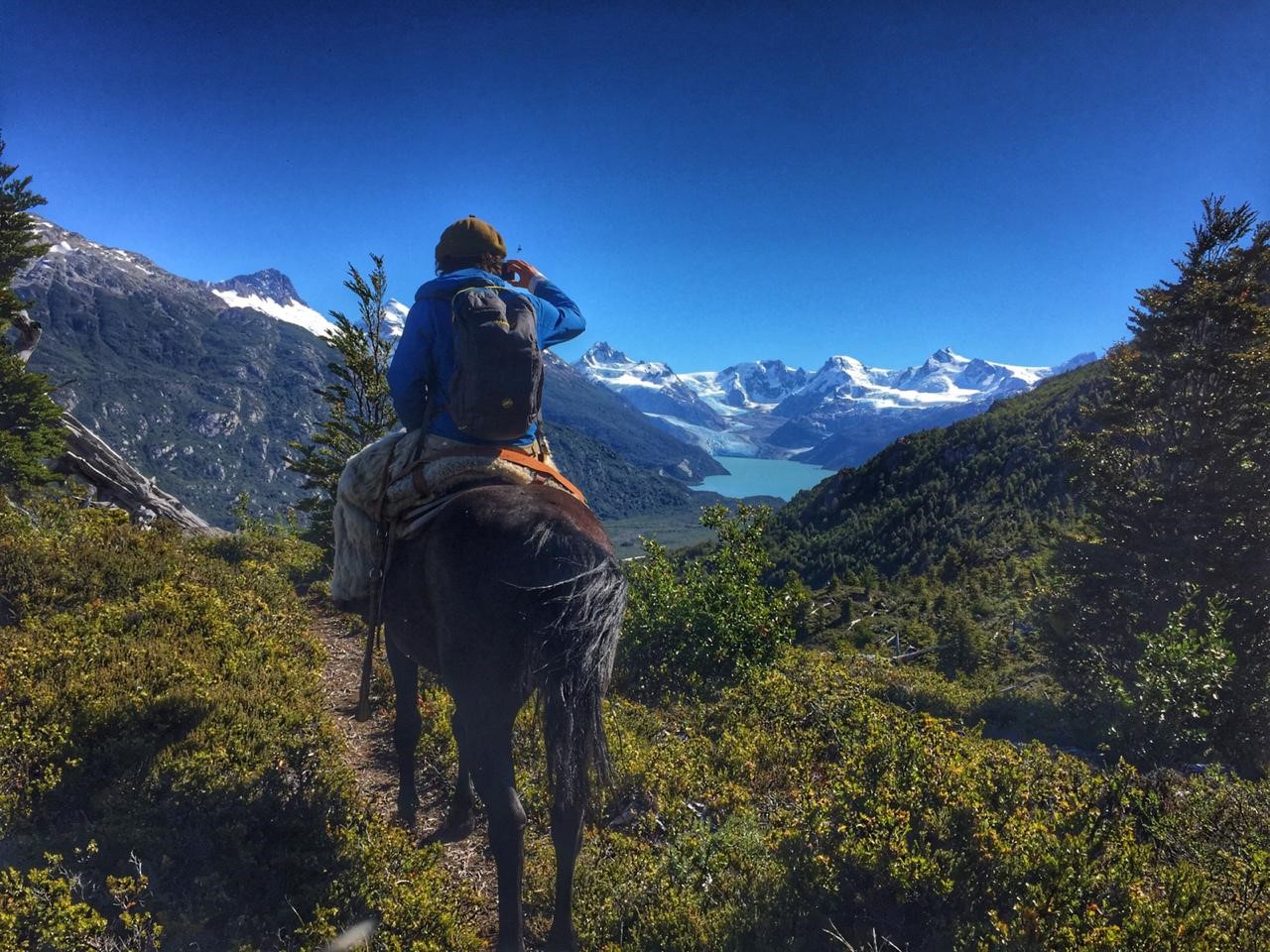 Patagonia caballo